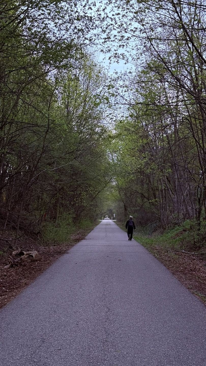 Tree tunnel