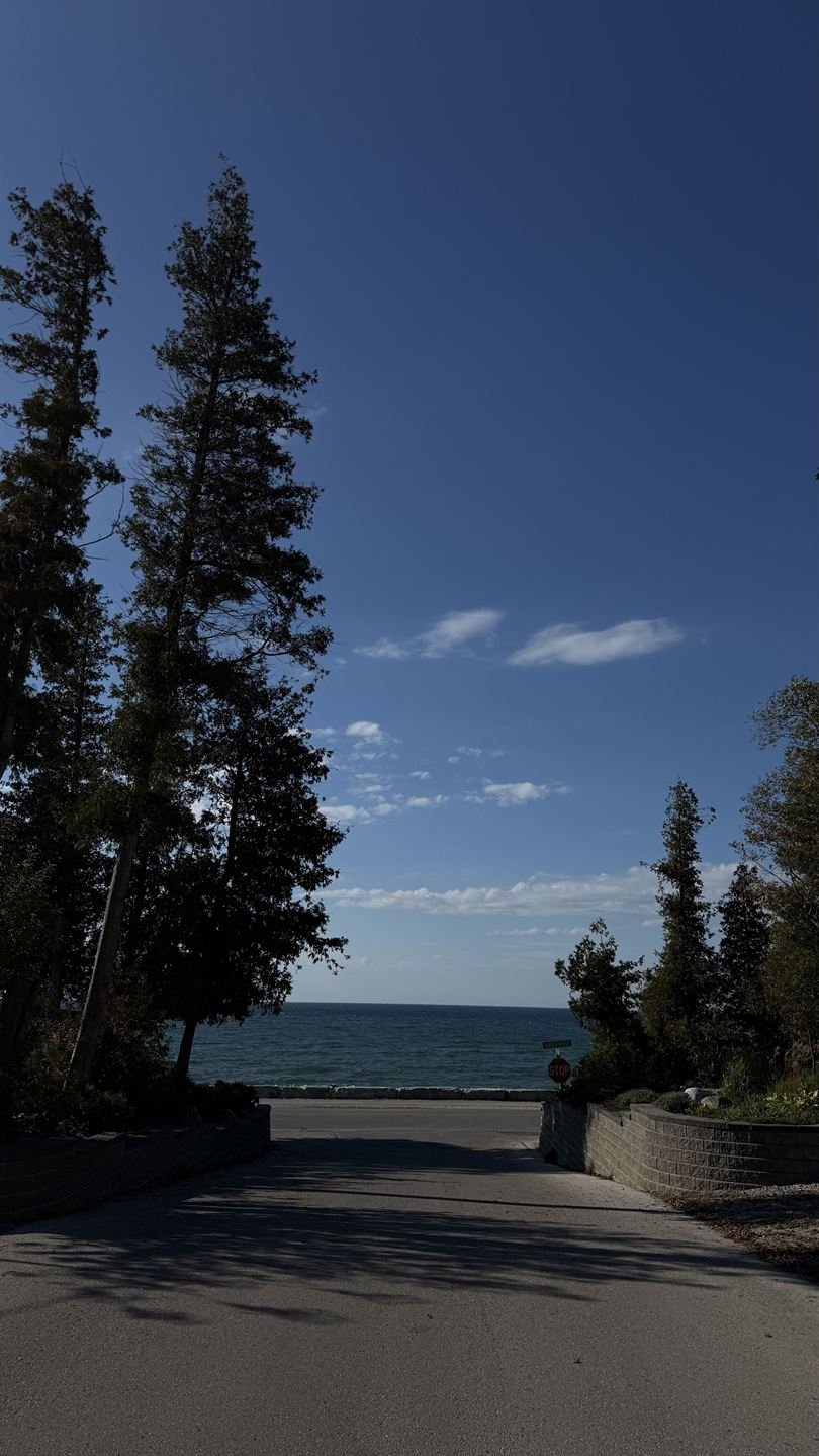 Road to the lake